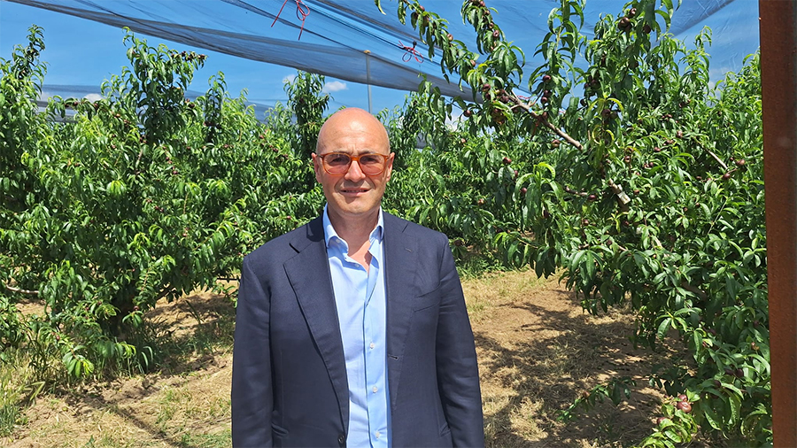 Luigi Nola, consigliere di Agrintesa